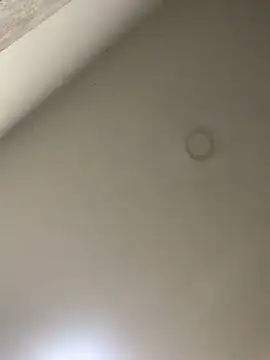 Snapshot of Zarah_Blare chatting on 14, 1, 2025 Zarah Blare online show from 14, 1, 2025