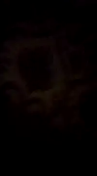 Snapshot of WreckedCrop chatting on 2, 3, 2025 WreckedCrop online show from 2, 3, 2025