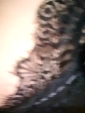 Snapshot of tahra-19 chatting on 17, 12, 2024 tahra-19 online show from 17, 12, 2024