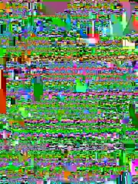 Graysontaylorxh online show from 3, 5, 2026