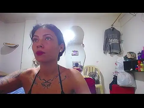 harry lia  online show from 3, 12, 2025