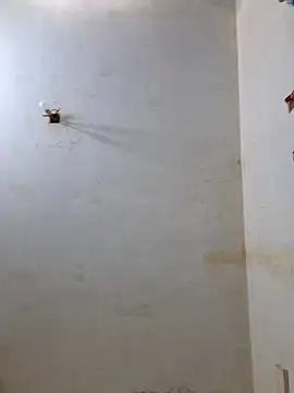 Snapshot of Derry_Cooper chatting on 8, 2, 2026 Derry Cooper online show from 8, 2, 2026