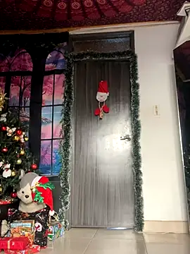  Artemisa X online show from 4, 12, 2024