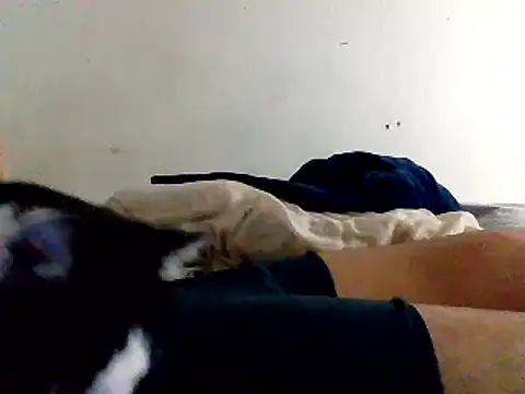 yass56789 online show from 15, 11, 2025