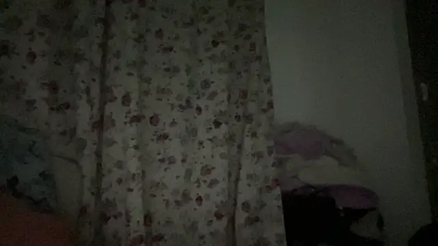 bob petterson online show from 26, 1, 2025