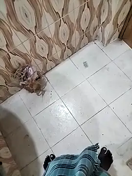 bas1cooks online show from 30, 9, 2025