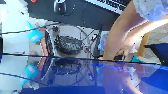 Lilyevansx online show from 7, 10, 2025