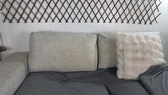 aryafrei online show from 2, 3, 2026