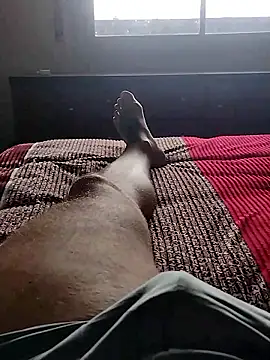 Jota show online show from 26, 2, 2026