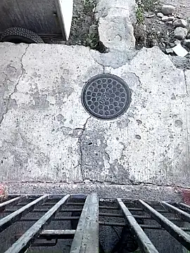 nowex18 online show from 20, 2, 2026