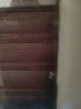 hardgetsex online show from 4, 10, 2025