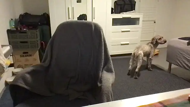 Totipro69 online show from 16, 2, 2025