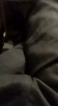 Snapshot of myhot1551 chatting on 15, 2, 2025 myhot1551 online show from 15, 2, 2025