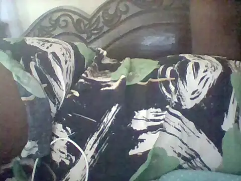 missarpie online show from 11, 2, 2026