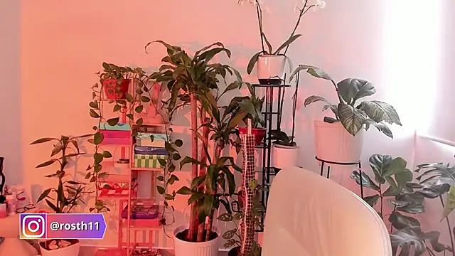 Snapshot of rossth1 chatting on 24, 10, 2025 rossth1 online show from 24, 10, 2025