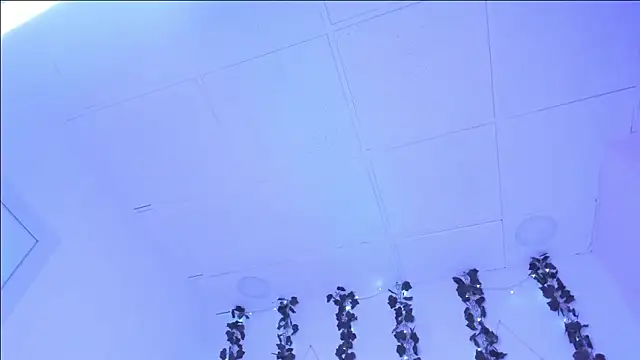 SophieHill gh online show from 16, 1, 2025