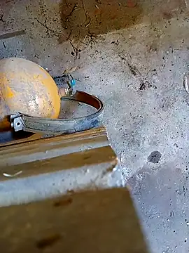 Snapshot of Din0071 chatting on 7, 1, 2026 Din0071 online show from 7, 1, 2026