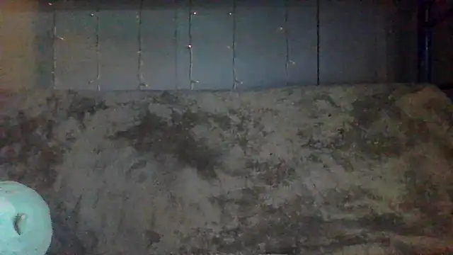 velvetta  online show from 9, 4, 2026