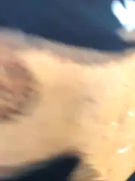 martinna tay online show from 1, 3, 2026