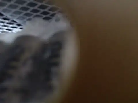 Lovensetest online show from 31, 10, 2025