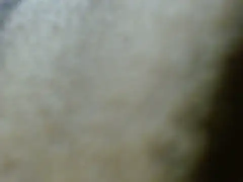 silky milky online show from 27, 10, 2025