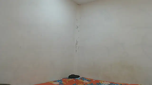 danielitopapuu online show from 7, 11, 2025