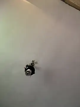 Brando2585 online show from 3, 4, 2026