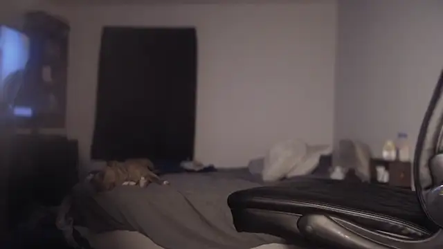 flexingplexico online show from 1, 3, 2025