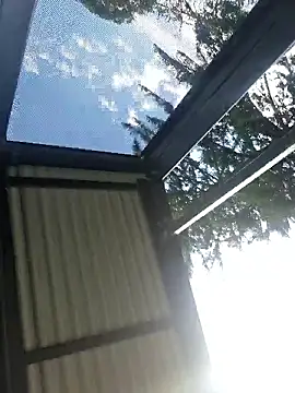 Off the Lesh online show from 31, 3, 2026