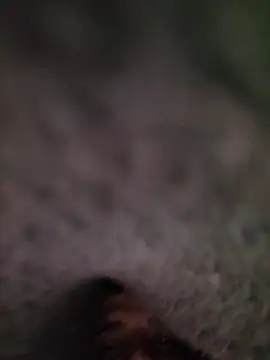 Casablancabig online show from 18, 3, 2025