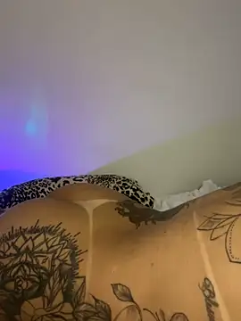 TigrezaSC online show from 6, 2, 2025