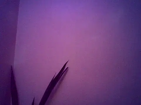 Malandralle online show from 25, 11, 2025