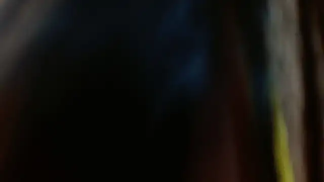 Melikasweetz online show from 17, 12, 2024