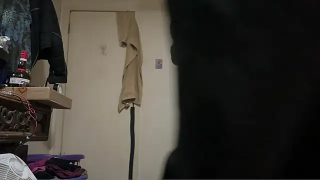 pipeload1275 online show from 5, 3, 2026