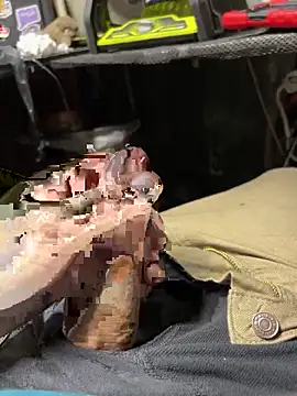 joeycbigcock online show from 26, 11, 2025