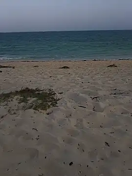 blacks couples online show from 3, 2, 2025