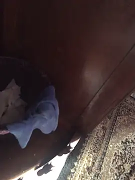 TangoingSorbet online show from 2, 11, 2025