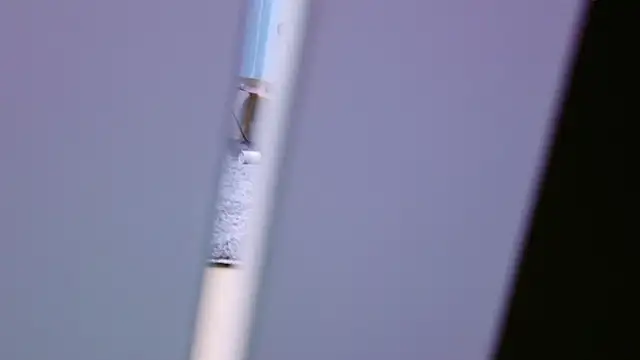 Snapshot of HaruruHappy chatting on 18, 1, 2025 HaruruHappy online show from 18, 1, 2025