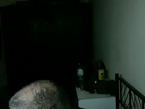 100Tauros online show from 17, 4, 2026