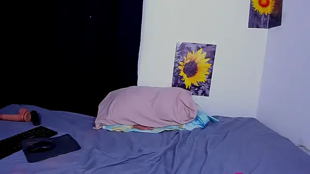 Ladysexy hot19 online show from 2, 11, 2025