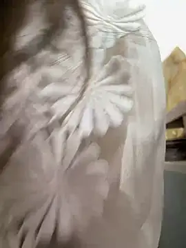 Efangfang online show from 16, 2, 2025