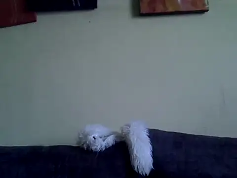 Delicious-D online show from 10, 2, 2026