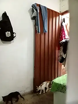 Andreita 95 online show from 13, 11, 2025