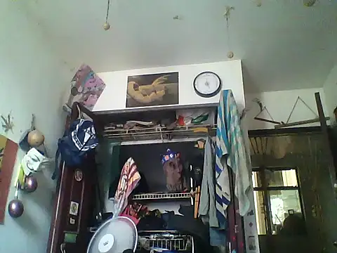 LECHEBALLS online show from 5, 5, 2026