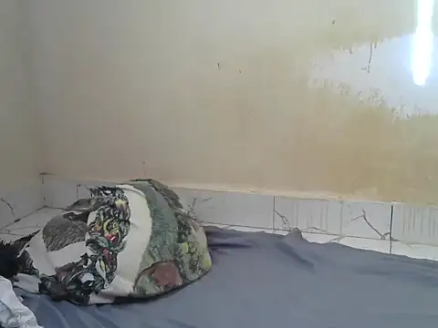 Snapshot of Zenath_ chatting on 18, 7, 2026 Zenath online show from 18, 7, 2026