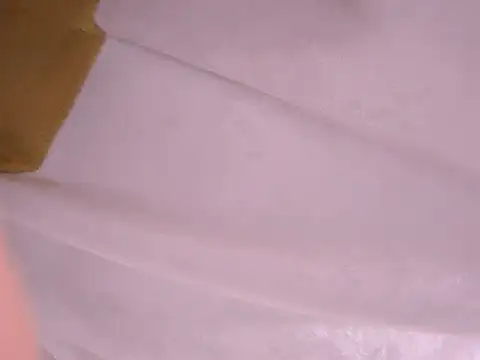 tatsumi nao online show from 22, 1, 2025