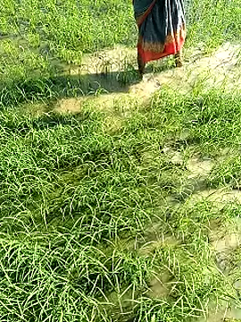 Snapshot of hairipussy2 chatting on 7, 2, 2025 hairipussy2 online show from 7, 2, 2025