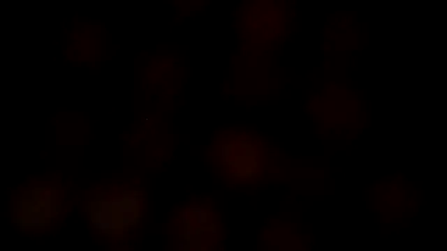 leatherz69 online show from 27, 2, 2025