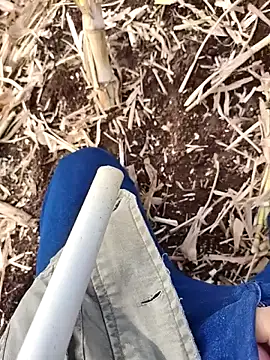 Snapshot of murokkk31 chatting on 25, 11, 2025 murokkk31 online show from 25, 11, 2025