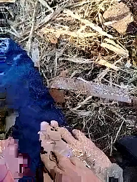 Snapshot of murokkk31 chatting on 30, 11, 2025 murokkk31 online show from 30, 11, 2025